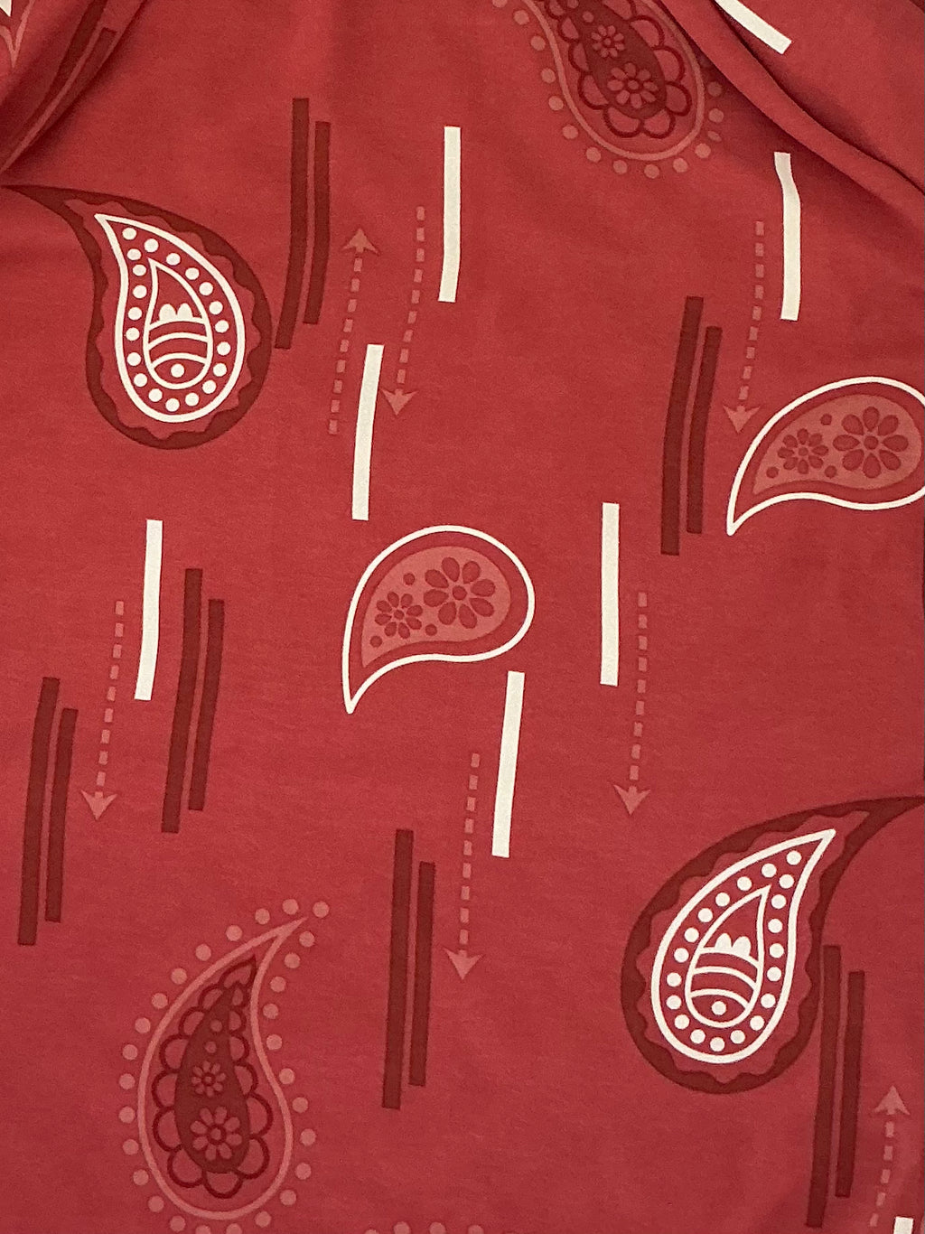 Terracotta Paisley Kimono